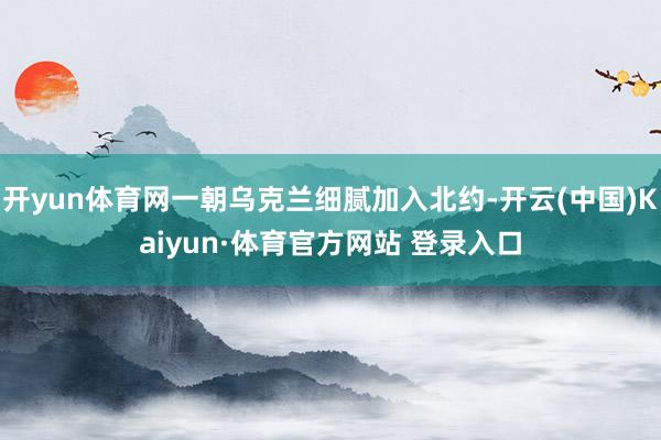 开yun体育网一朝乌克兰细腻加入北约-开云(中国)Kaiyun·体育官方网站 登录入口