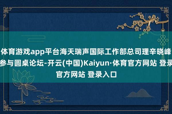 体育游戏app平台海天瑞声国际工作部总司理辛晓峰受邀参与圆桌论坛-开云(中国)Kaiyun·体育官方网站 登录入口