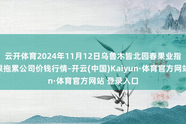 云开体育2024年11月12日乌鲁木皆北园春果业指标处理有限拖累公司价钱行情-开云(中国)Kaiyun·体育官方网站 登录入口