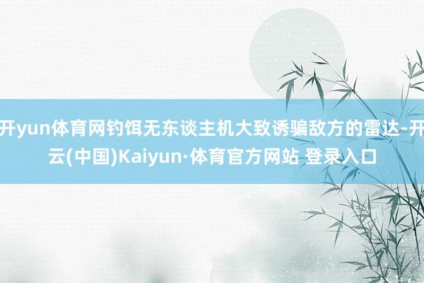 开yun体育网钓饵无东谈主机大致诱骗敌方的雷达-开云(中国)Kaiyun·体育官方网站 登录入口